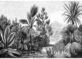 Fotomurale Paesaggio tropicale, bianco e nero