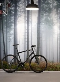 Waldtapete Forest Glade von Rebel Walls