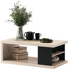 Tavolino da salotto con ripiano e vano contenitore LORA beige/nero