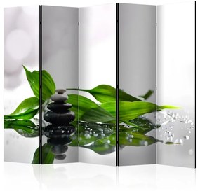 Paravento  Zen II [Room Dividers]  Colore Nero, Dimensioni e Misure 225x172