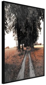 Poster  Field Path  Cornice Quadri Cornice nera, Larghezza x Altezza Home decor 40x60