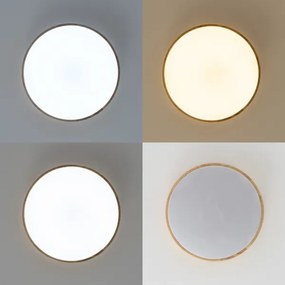 Brilagi - Plafoniera LED dimmerabile PINE LED/60W/230V + telecomando