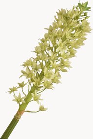Fiore artificiale fatto a mano Eucomis