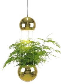 Mini Planter Lampada A Sospensione Ottone - Globen Lighting