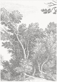 Carta da parati in tessuto non tessuto Engraved Landscapes V