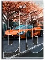 SUPERCAR - ORANGE - THINK BIG - Quadro stampato su Canvas e montato su telaio in legno Misura: 100x140 cm