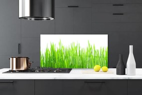 Rivestimento parete cucina Erba, piante, natura 100x50 cm