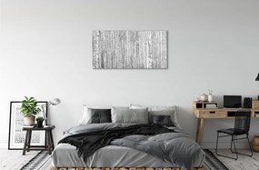 Quadro acrilico Alberi della foresta in bianco e nero 100x50 cm