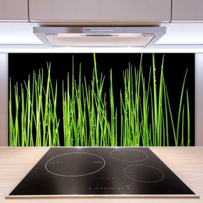 Rivestimento parete cucina L'erba La pianta 100x50 cm