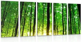 Quadri 5 pezzi – Foresta verde rigogliosa