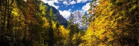 Stampa su tela – Paesaggio montano