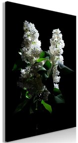 Quadro Lilacs at Night (1 Part) Vertical  Colore Bianco, Dimensioni e Misure 40x60