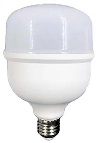 Lampada A Led E27 Globo 38W 4050LM Bianco Freddo 6500K 117X179mm