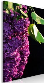 Quadro Colours of Spring (1 Part) Vertical  Colore Viola, Dimensioni e Misure 40x60