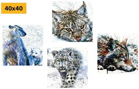 Set di quadri – Animali in interessante versione acquerello