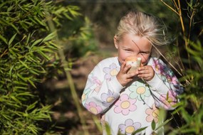 Zoo Walkie-talkie per bambini - volpe - unicorno