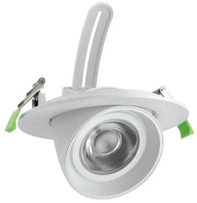 Faro LED da Incasso 44W, Foro Ø160mm con driver Philips- Per Carni Colore Rosa Alimentare