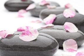 Stampa su tela – Petali su pietre wellness