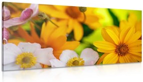 Quadro su tela – Bouquet estivo