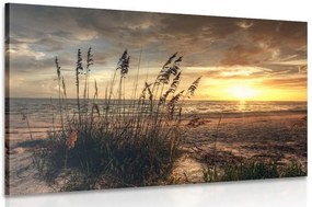 Quadro su tela – Tramonto sulla spiaggia