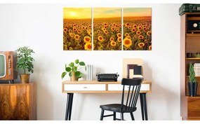 Quadro  Sunflowers at Sunset (3 Parts)  Larghezza x Altezza Home decor 60x30