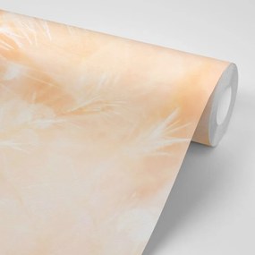 Carta da parati – Soffione al sorgere del sole Peach Fuzz