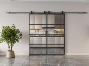 Porta scorrevole doppia sist. esterno muro 2xH205xL83cm  Alluminio e Vetro temperato trasparente - SINCA II