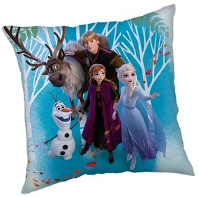 Cuscino per bambini in vello Frozen "Family" – Jerry Fabrics