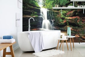 Carta da parati – Cascata nel bosco