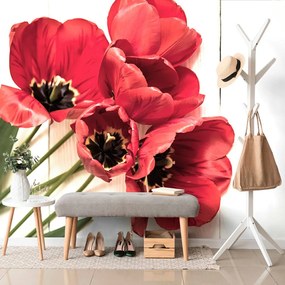 Carta da parati autoadesiva – Tulipani rossi in fiore