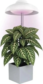 Lampada LED da interno per la coltivazione di piante GROW LED/5W/5V