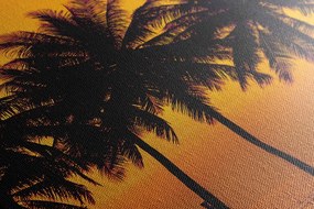 Stampa su tela – Tramonto sulle palme