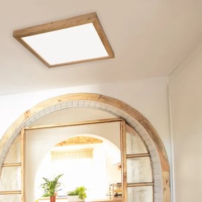 Brilagi - Lampada da bagno LED WOODY FRAME LED/40W/230V 60x60 cm IP44 rovere