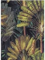 Mindthegap Carta da parati Traveller's Palm - WP20526