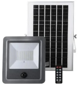 Faro Proiettore EDM 31862 100 W 1200 Lm Solare Sensore di Movimento (6500 K)