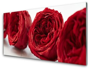 Pannello cucina paraschizzi Rose, fiori, piante 100x50 cm