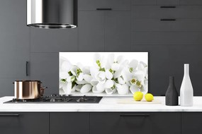 Schienali cucina Fiori, piante, natura 100x50 cm