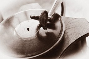 Carta da parati – Grammofono antico