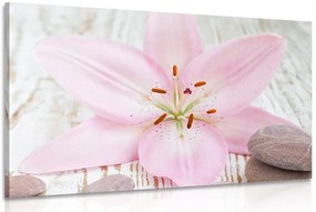Stampa su tela – Giglio rosa e pietre zen