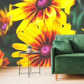 Carta da parati – Fiori bicolori