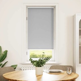 Tenda A Rullo Oscurante 60 X 120 Cm Grigio /