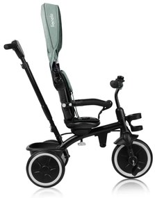Lionelo - Triciclo per bambini BERRY Verde Bosco