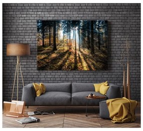 Immagine su tela, 70 x 100 cm Glasspik Autumn Sunset - Styler