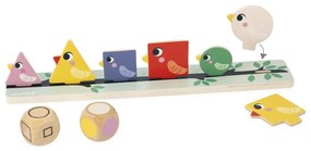 Identificazione Di Forme, Dimensioni E Colori - Uccelli