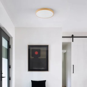 Brilagi-LED Lampada dimmerabile GLASS POOL DOUBLE LED/48W/230V 40 cm finitura legno + telecomando