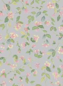 Cole & Son Tapete Flora - Rose/ Olive on Grey