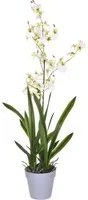 Orchidea Artificiali Oncidium con Vaso Altezza 40 cm Bianco