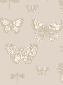 Tapete Butterflies & Dragonflies von Cole & Son - Grey