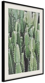 Poster  Cactus Plantation  Cornice Quadri Cornice nera con pass-partout, Larghezza x Altezza Home decor 20x30