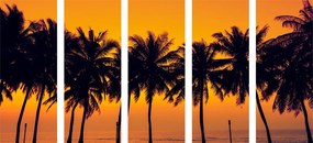 Quadri 5 pezzi – Tramonto sulle palme